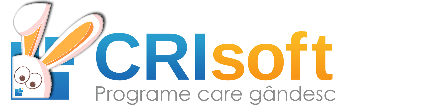 CRIsoft